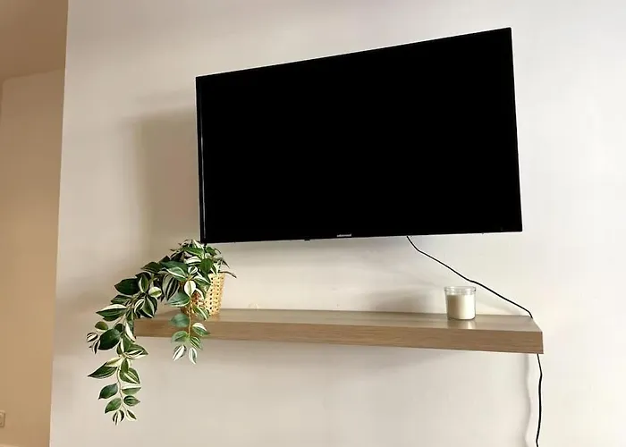 Superbe 2p Climatisé - Plages à Pieds